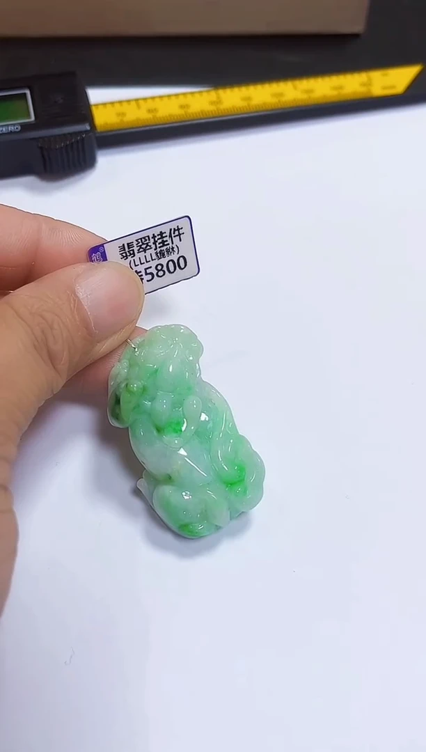 颈饰未镶嵌翡翠貔貅