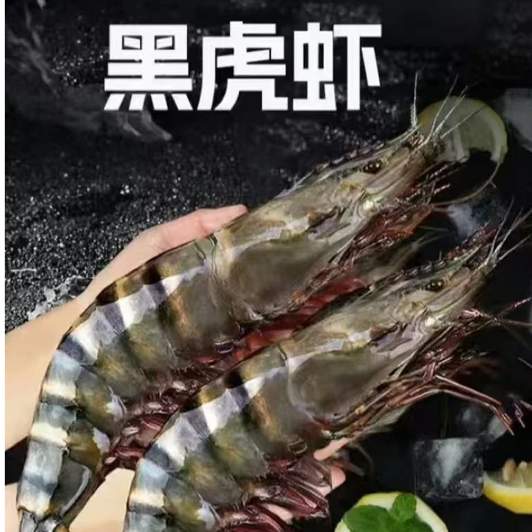 大大号黑虎虾 一斤8-10只左右到手3斤 3斤24-30只左右冷链速冻锁鲜大虾