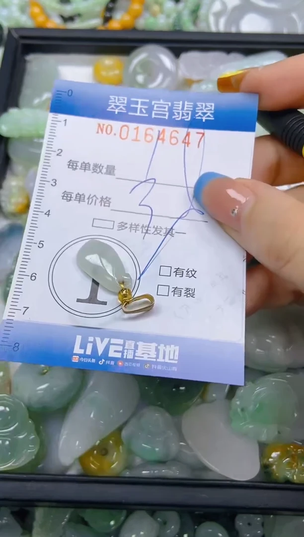 翡翠未镶嵌颈饰闪购0164647