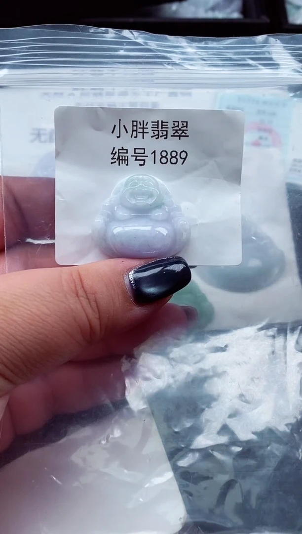 颈饰未镶嵌翡翠缅甸天然A货翡翠1889