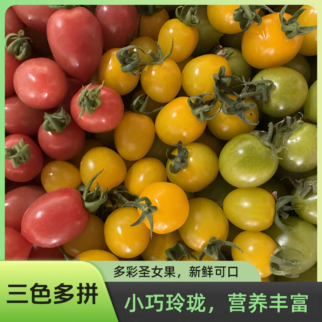 三色多拼小番茄青甜千禧迷恋香甜口感小番茄红黄绿多拼顺丰