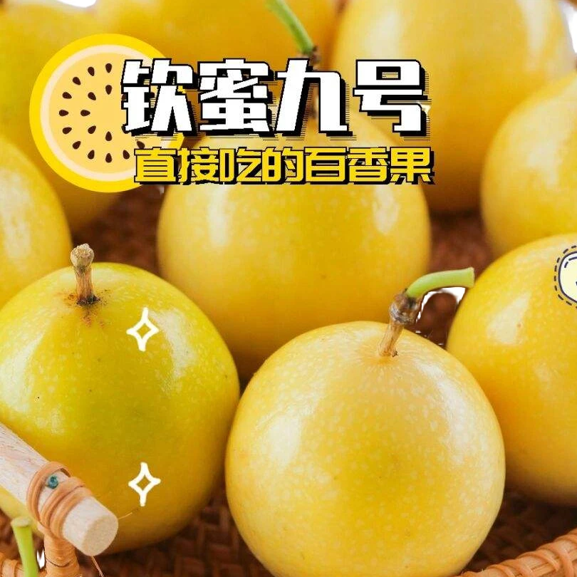 黄金百香果新鲜香甜多汁现摘现发坏果包赔应季水果  多仓发货