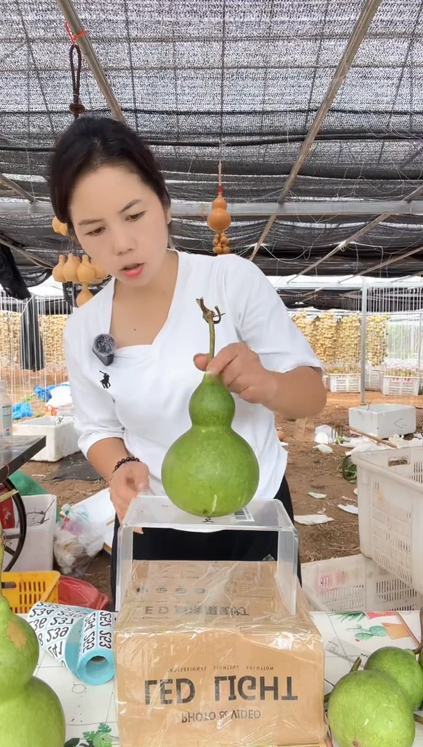 232天然葫芦摆件 一物一拍龙头不保售后