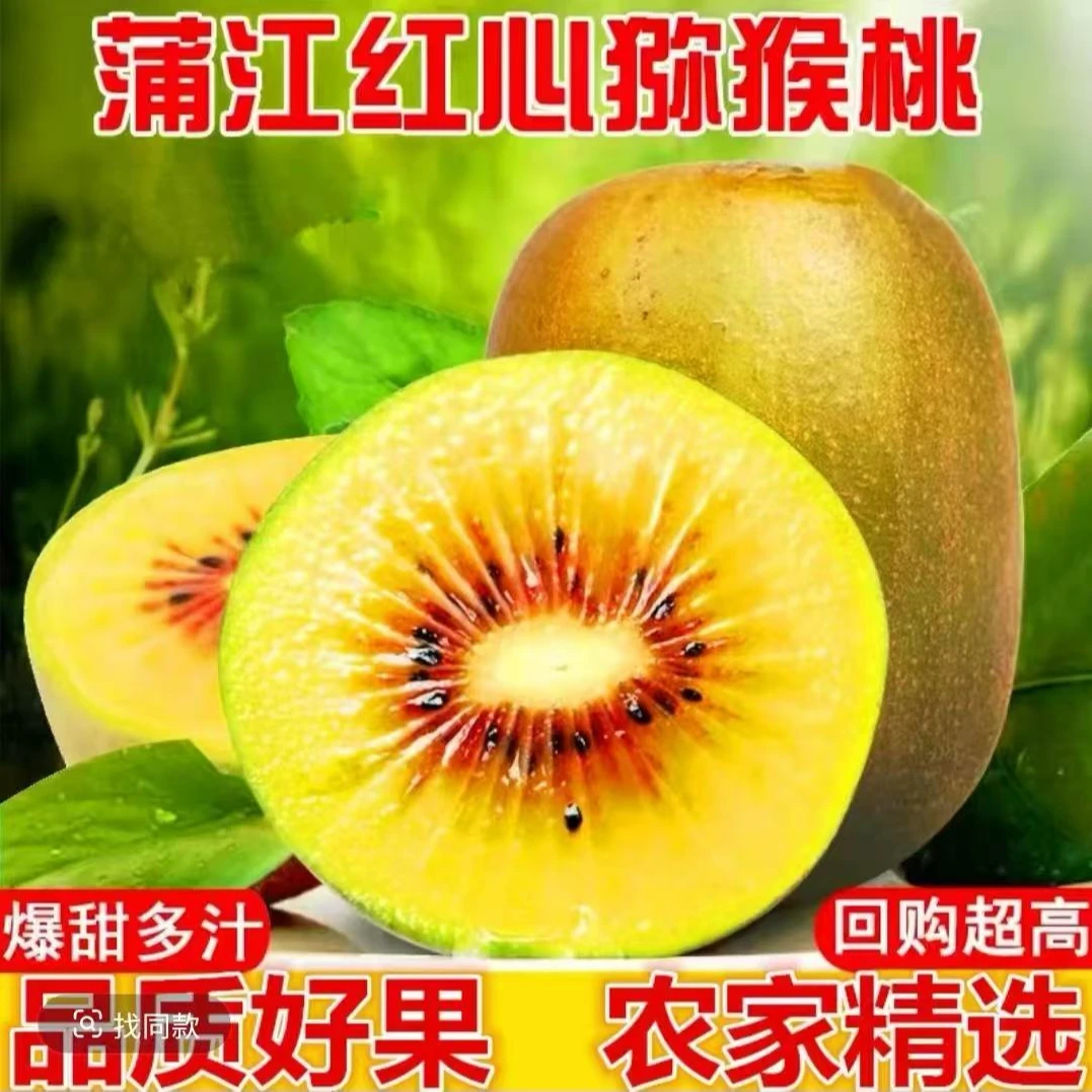 正宗四川蒲江红心猕猴桃新鲜水果应季迷糊桃产地直发软糯香甜万s