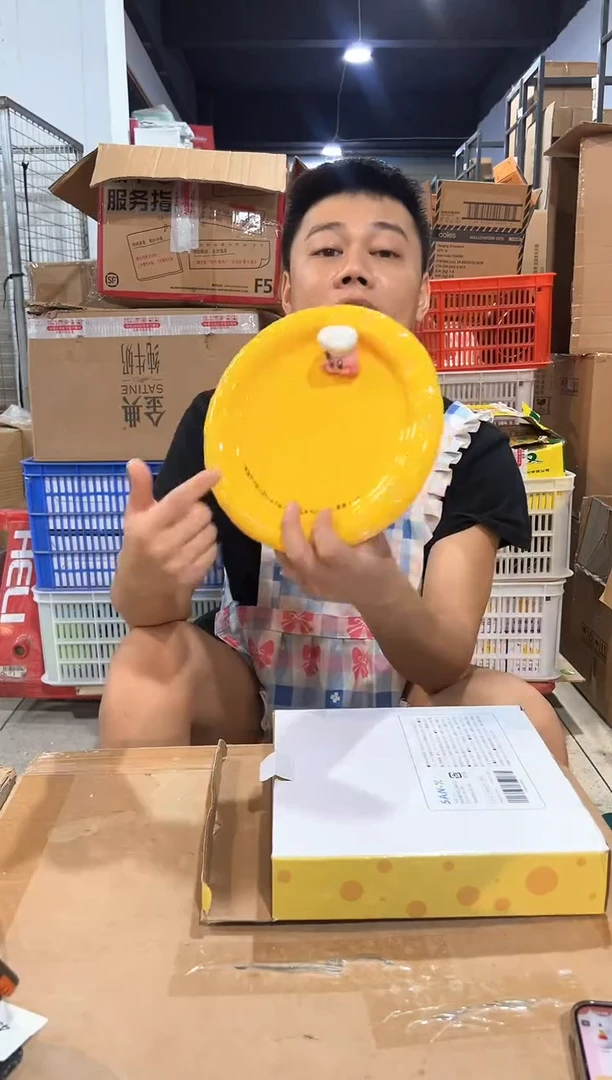 瓷片原盒星之卡比奶酪盘