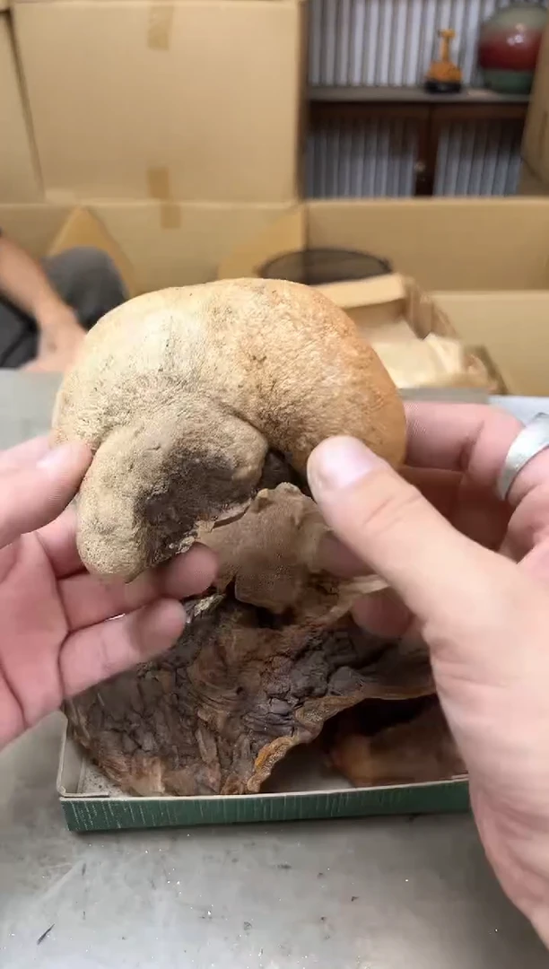 瓷片1901聚宝缘优品精选