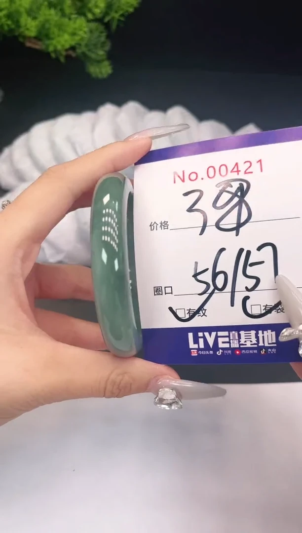 未镶嵌手镯翡翠421