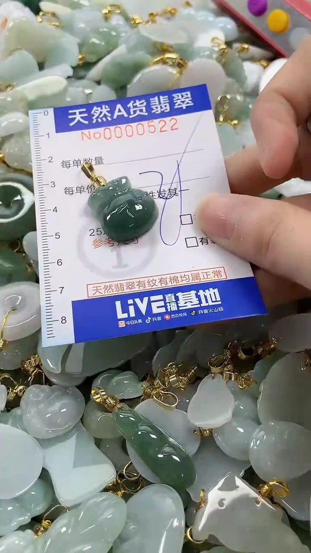 颈饰未镶嵌翡翠纯天然a货翡翠