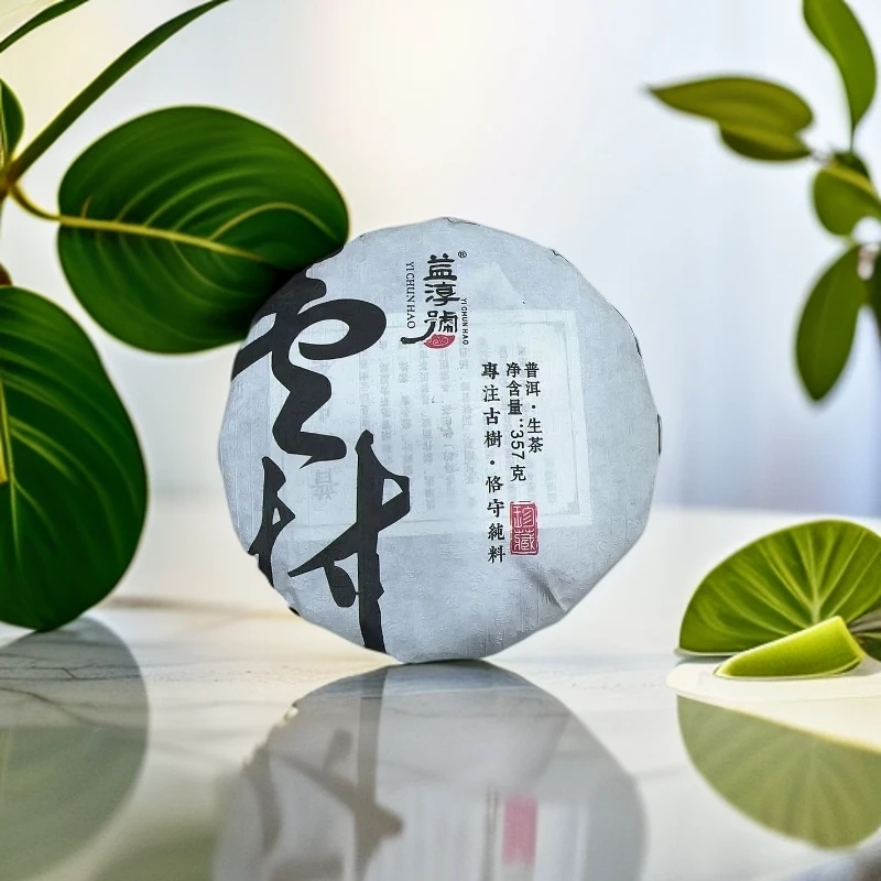 益淳号-一村-古树纯料 普洱茶 生茶 357克 2025.4.20