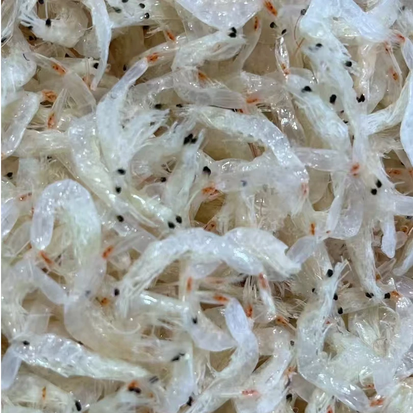 优质淡干虾皮无盐新鲜海米高钙营养干货精选虾米