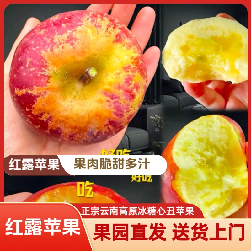 甜【红露送货上门】云南高原红露冰糖心丑苹果脆甜多汁精品新鲜水果