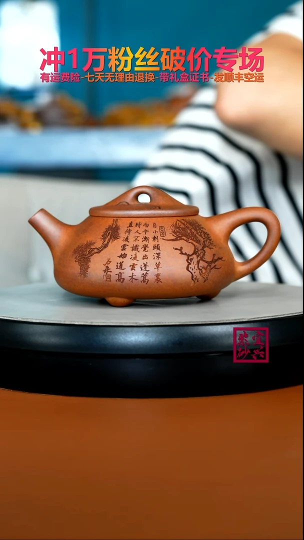 茶壶紫砂蒋静明天星泥松竹景舟石瓢300CC
