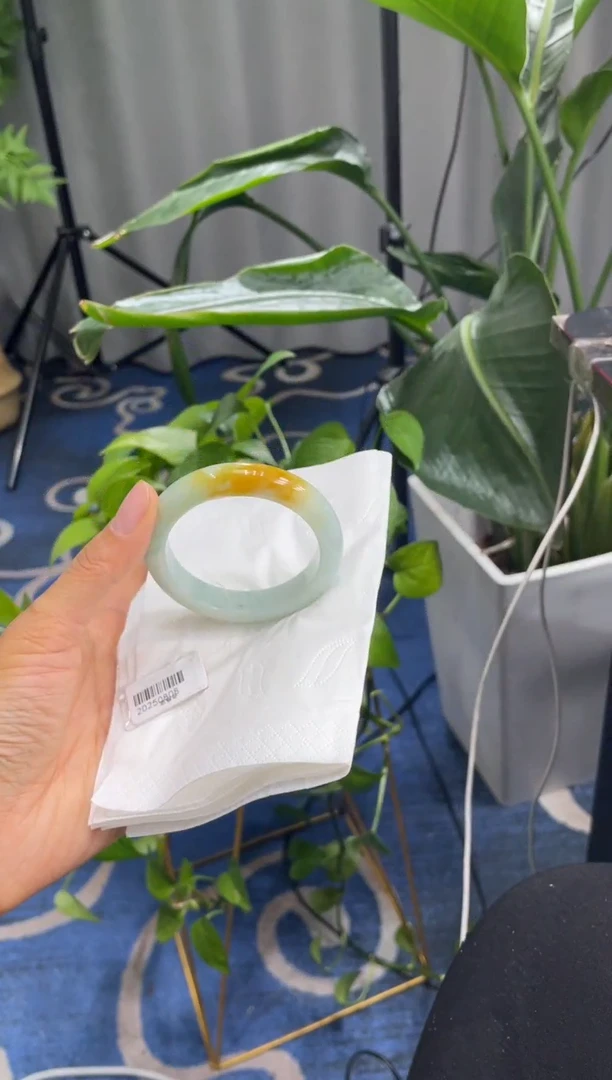 未镶嵌手镯翡翠6029