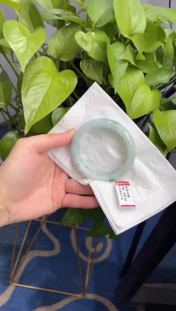 未镶嵌手镯翡翠00005934