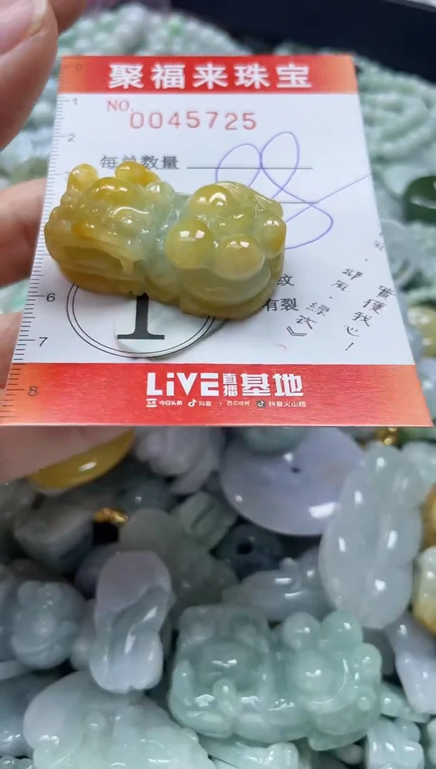 【闪购商品】翡翠颈饰未镶嵌闪购0045725