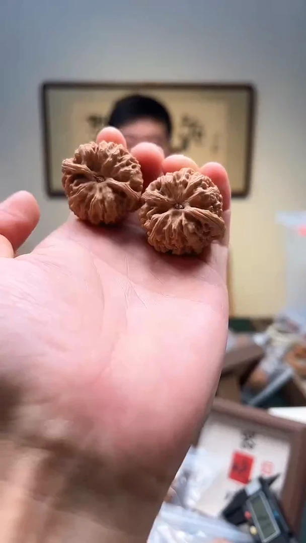 把件文玩核桃37mm+野牛 一对 （随机发不挑选）