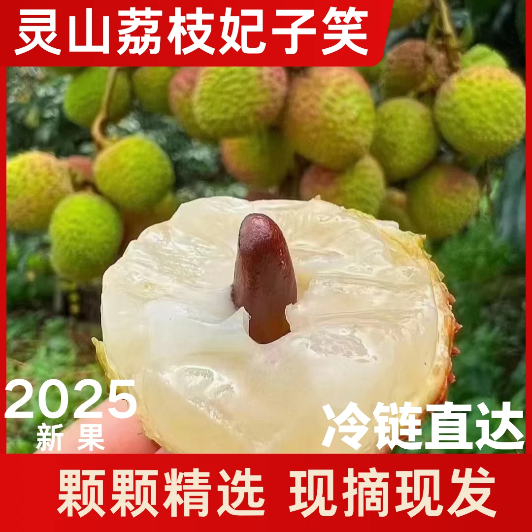 当季钦州灵山荔枝灵山新鲜妃子笑荔枝产地直发核小肉厚清甜多汁