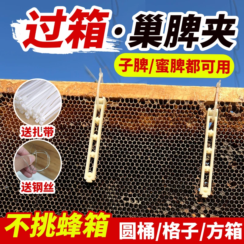 过箱绑脾夹巢脾夹子人工过箱土蜂桶夹脾加厚塑料固定巢脾扣