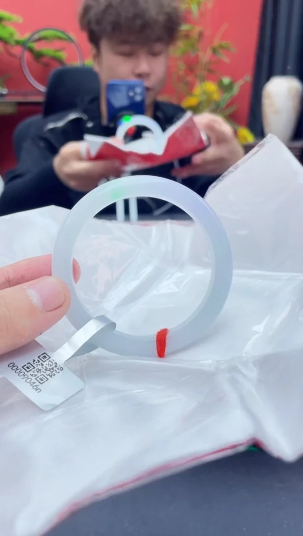 未镶嵌手镯翡翠5