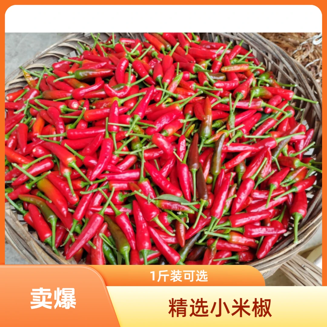 商佰汇精选小米辣椒50g-500g