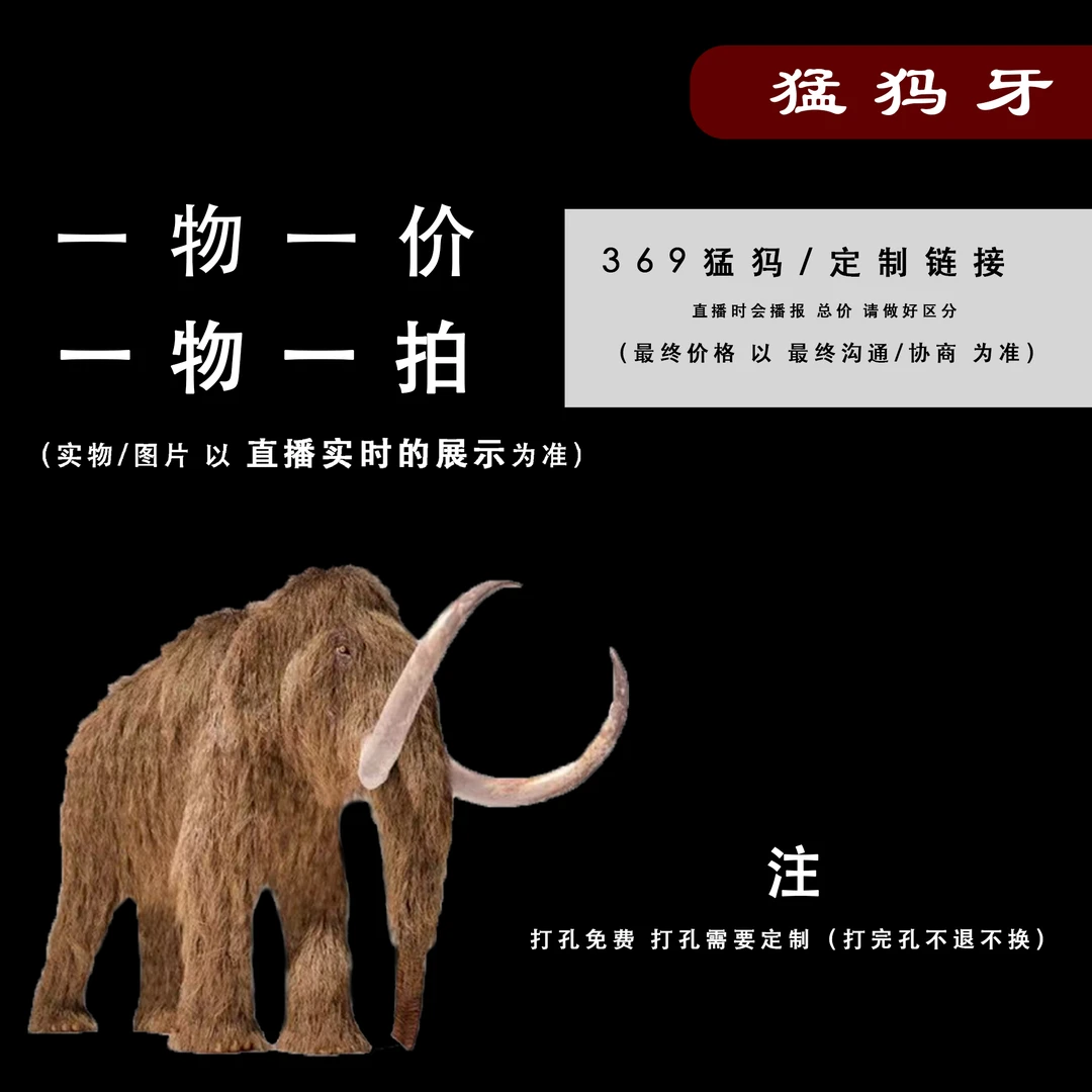 (A015)猛犸牙雕刻配饰-大太平象形