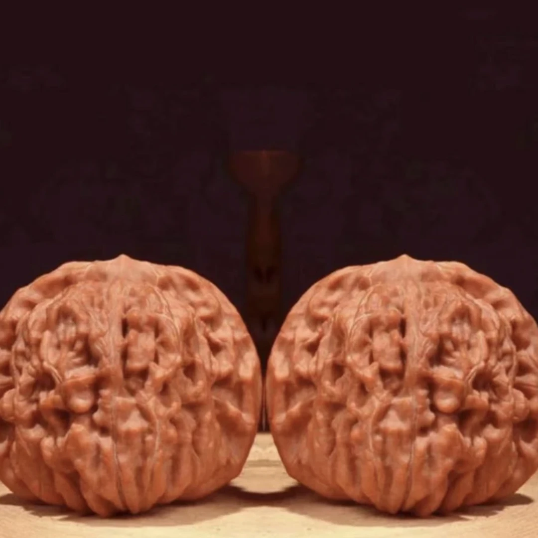 文玩核桃赤龙鸡心全品红皮