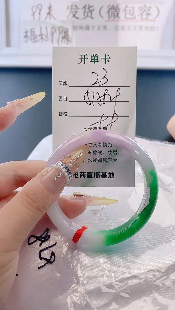 未镶嵌手镯翡翠23