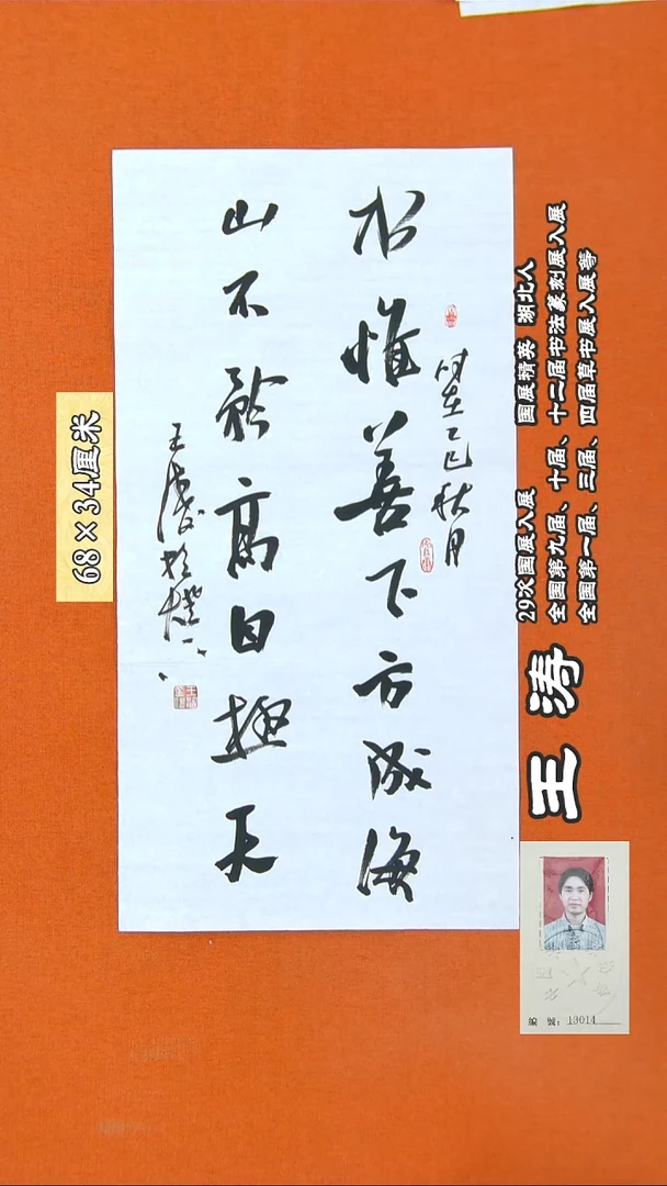 书法77R王涛书法作品