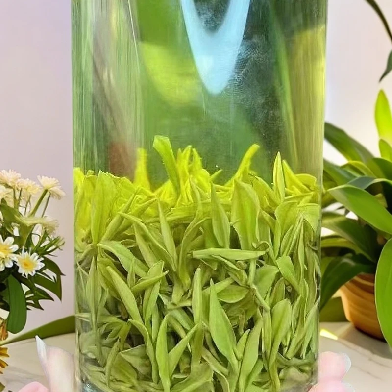 2025年春茶头采，口感柔和鲜爽，花果香