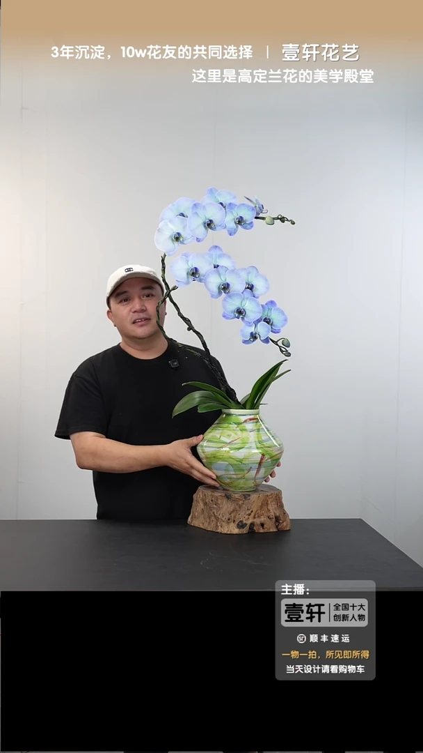 全部花朵036号链接【一物一拍】艺术盆景