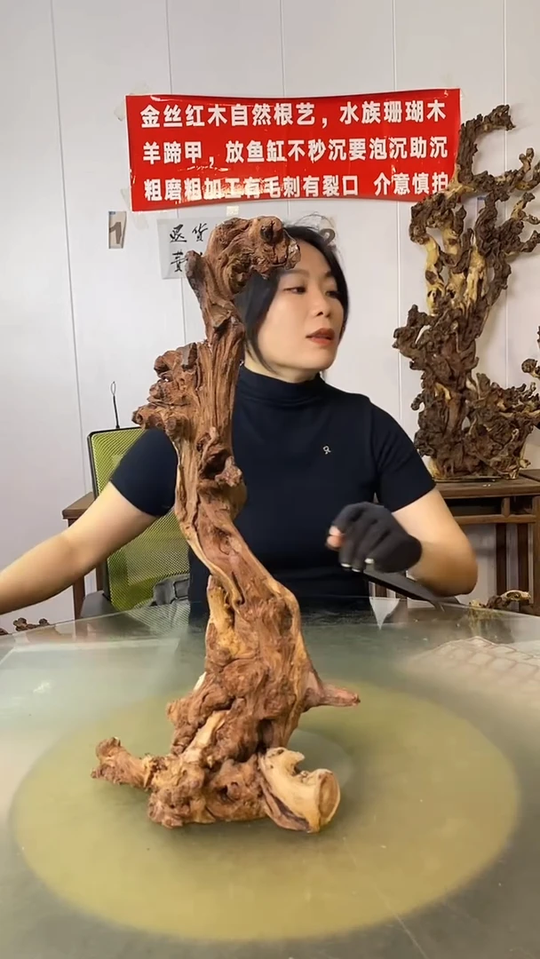 木石*金丝红木 羊蹄甲