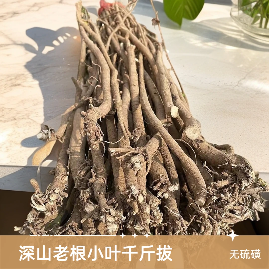 深山小叶千斤拔一条根煲汤煮水泡酒食材钉地根钻地风根茎干货