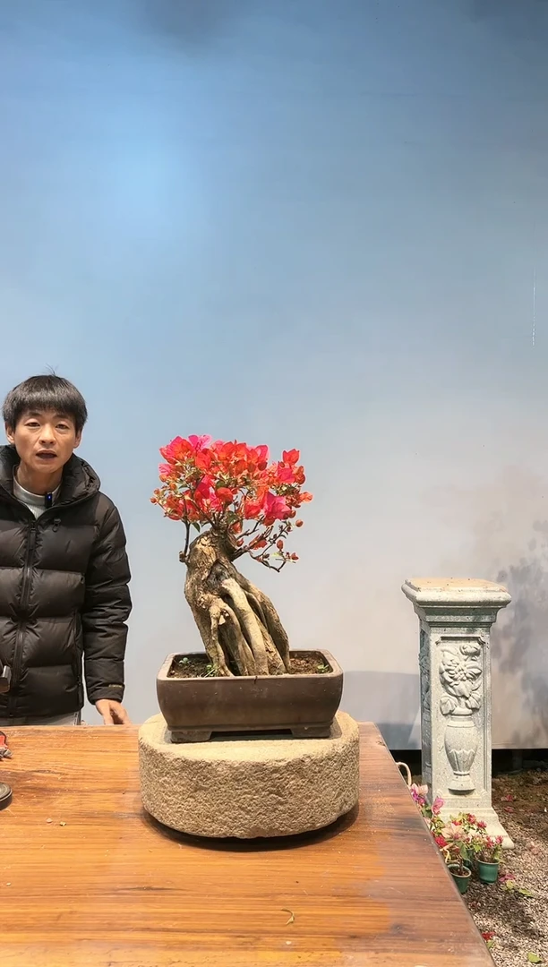 【闪购商品】aa953