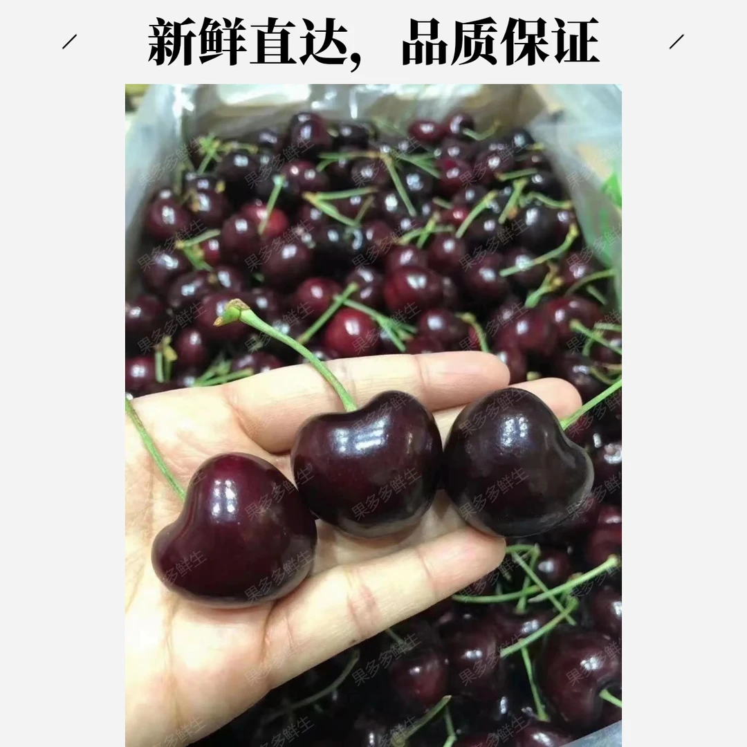 A级进口JD黑车车厘子1000克