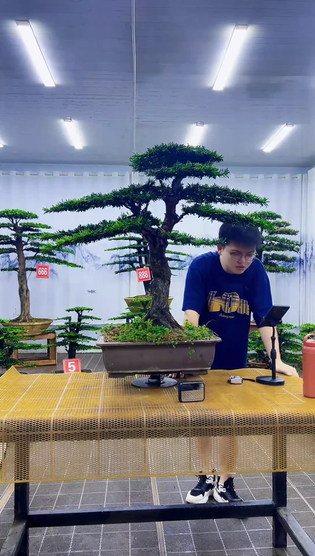用****己000000000000000000