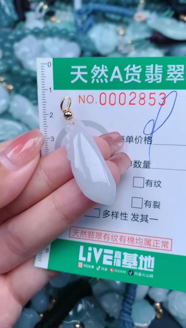 【闪购商品】翡翠颈饰未镶嵌.0002853