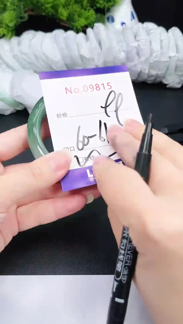 未镶嵌手镯翡翠9815