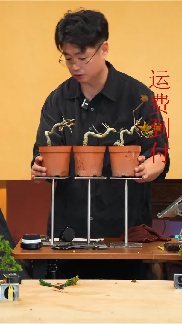 无花朵小*哥182,183,184