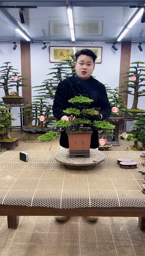 【闪购商品】00000000