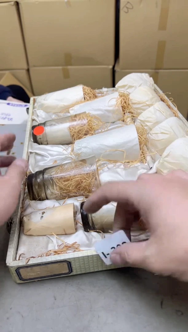 瓷片392聚宝缘海陶精选