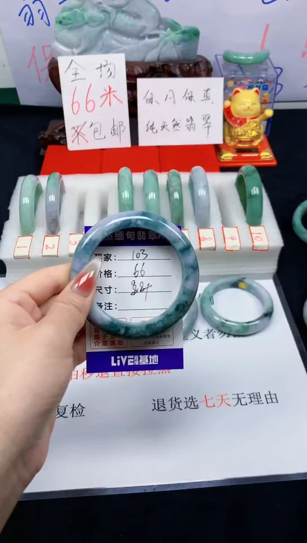 未镶嵌手镯翡翠104