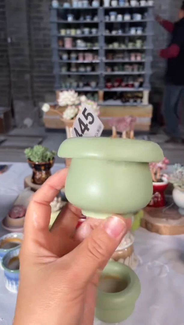 瓷片445小芳直播编号