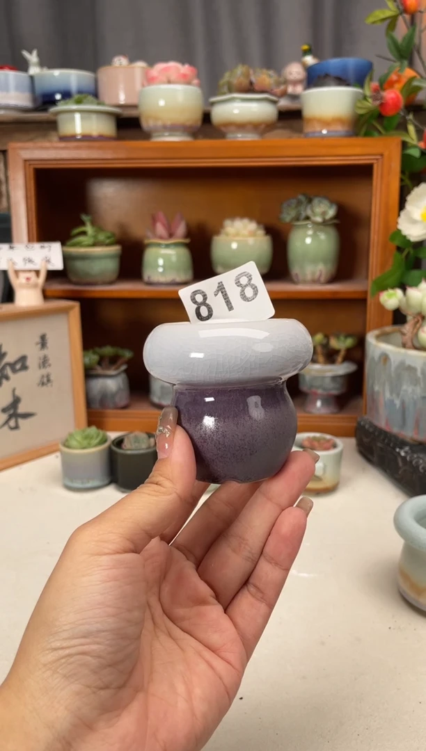 瓷片818知木小芳花盆