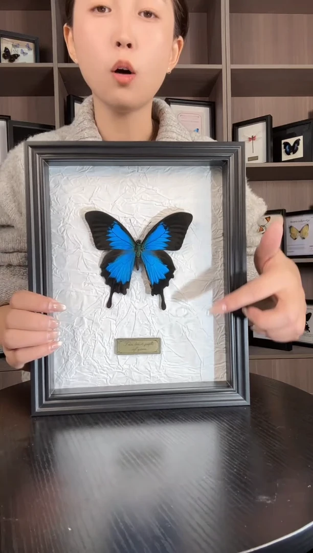 实木竖款天堂凤蝶（蝴蝶装饰画8寸框）