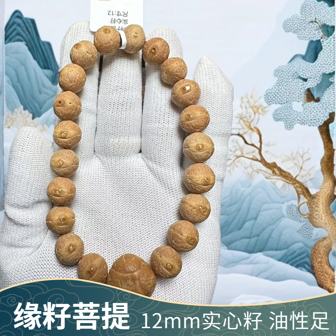 缘籽菩提 12mm实心籽 粉红皮油性十足 尼泊尔凤眼菩提