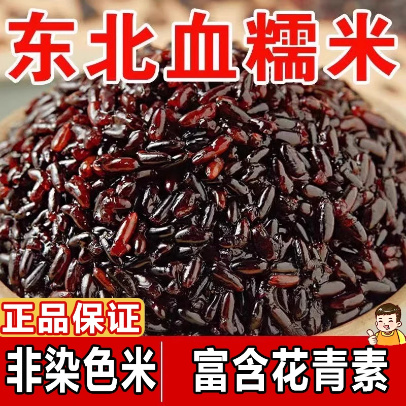 正宗东北黑龙江血糯米黑糯米粽子江米新米粗粮当季新五谷杂粮饭