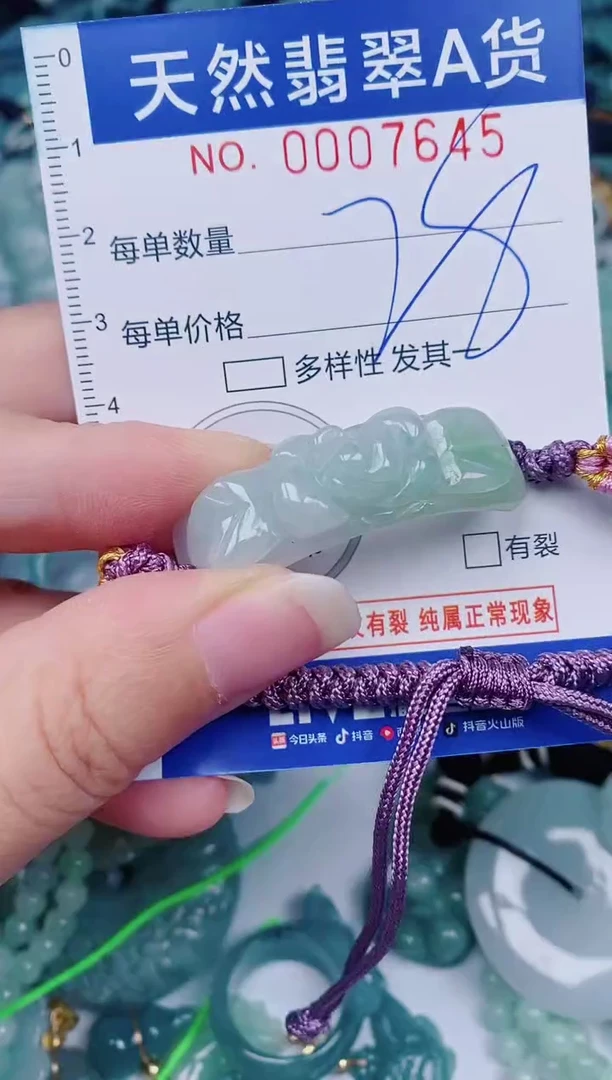 颈饰未镶嵌翡翠00007645