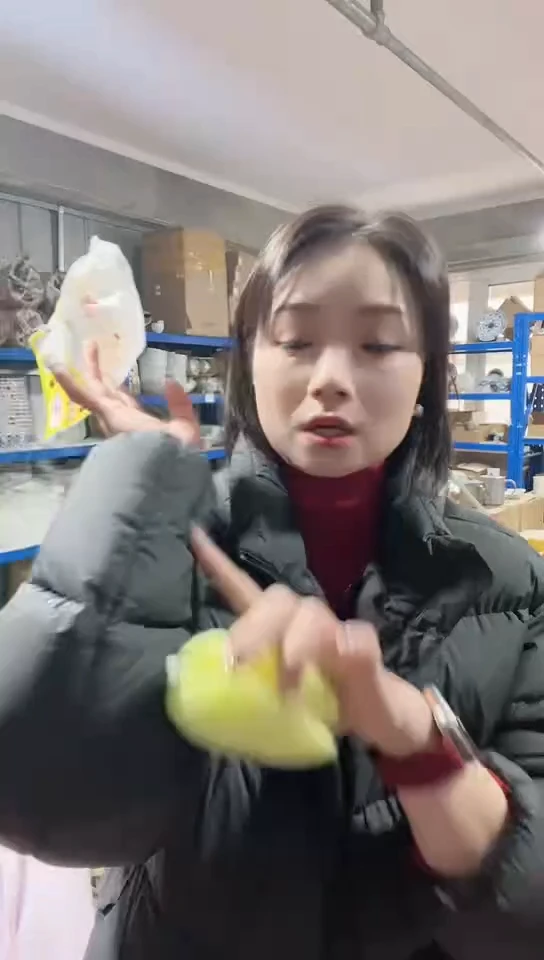 【闪购商品】瓷片进口家用百货羽绒服刷子一只C085