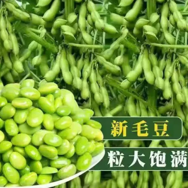 【毛豆种籽】一包也包邮下单送肥料蔬菜种子发芽率高易种植