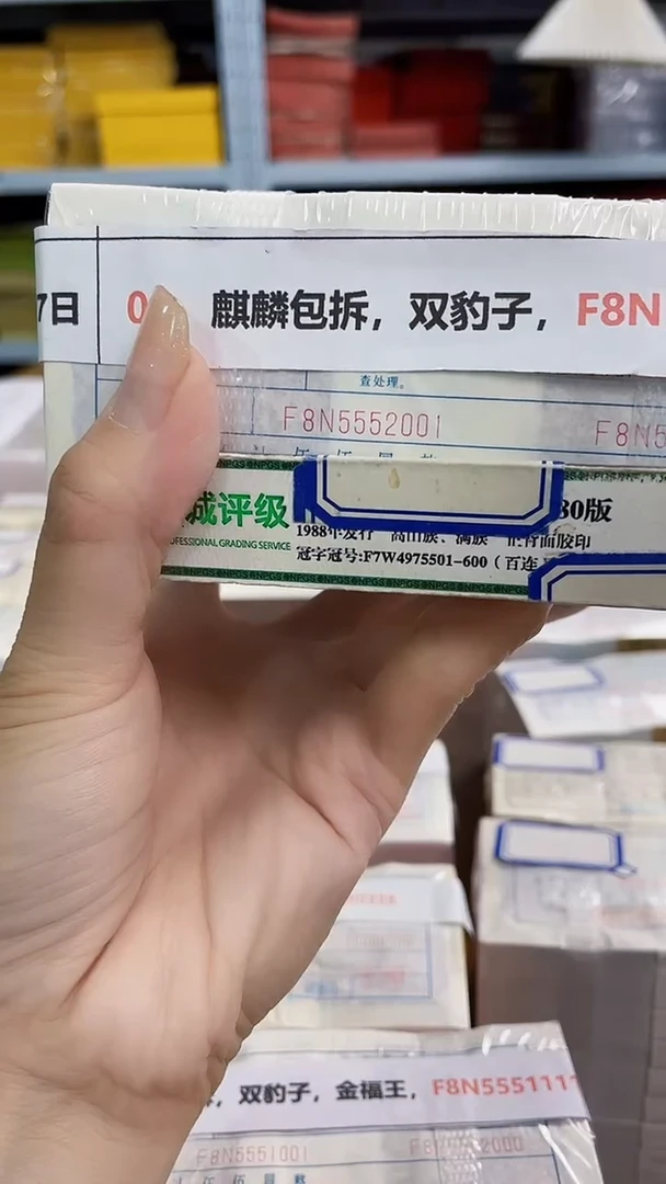 M 05，麒麟包拆，双豹子，F8N5552222